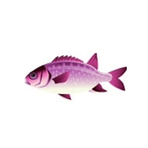 Violet Squirrelfish